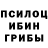Псилоцибиновые грибы Cubensis MD Ayie