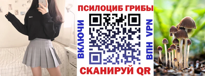 Галлюциногенные грибы Magic Shrooms  Купить где  Венёв 